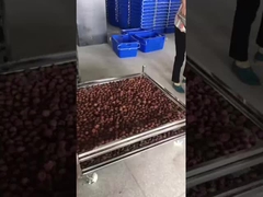 শুকানোর জন্য স্টেইনলেস স্টীল তারের জাল ট্রলি