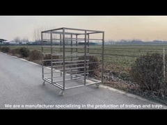 কাস্টমাইজড আকার স্টেইনলেস স্টীল ট্রে র্যাক ট্রলি