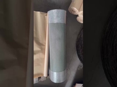 তারের জাল বেল্ট