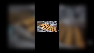 স্টেইনলেস স্টীল পিজা ওভেন মই চেইন লিঙ্ক কনভেয়র ফ্ল্যাট তারের মেশ ফ্লেক্স বেল্ট চকলেট এনরোবের জন্য,